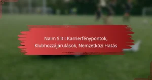Naim Sliti: Karrierfénypontok, Klubhozzájárulások, Nemzetközi Hatás