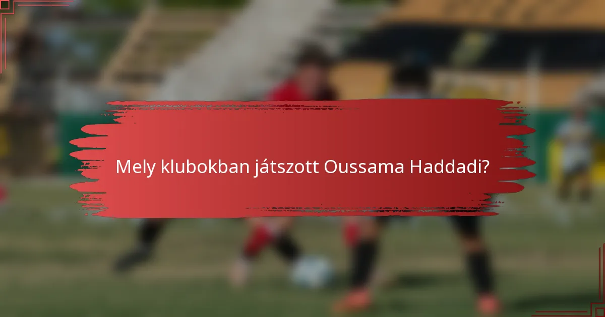 Mely klubokban játszott Oussama Haddadi?