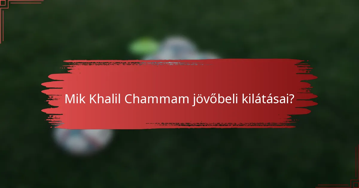 Mik Khalil Chammam jövőbeli kilátásai?