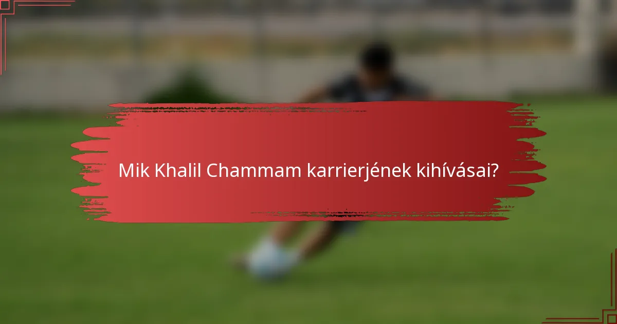 Mik Khalil Chammam karrierjének kihívásai?
