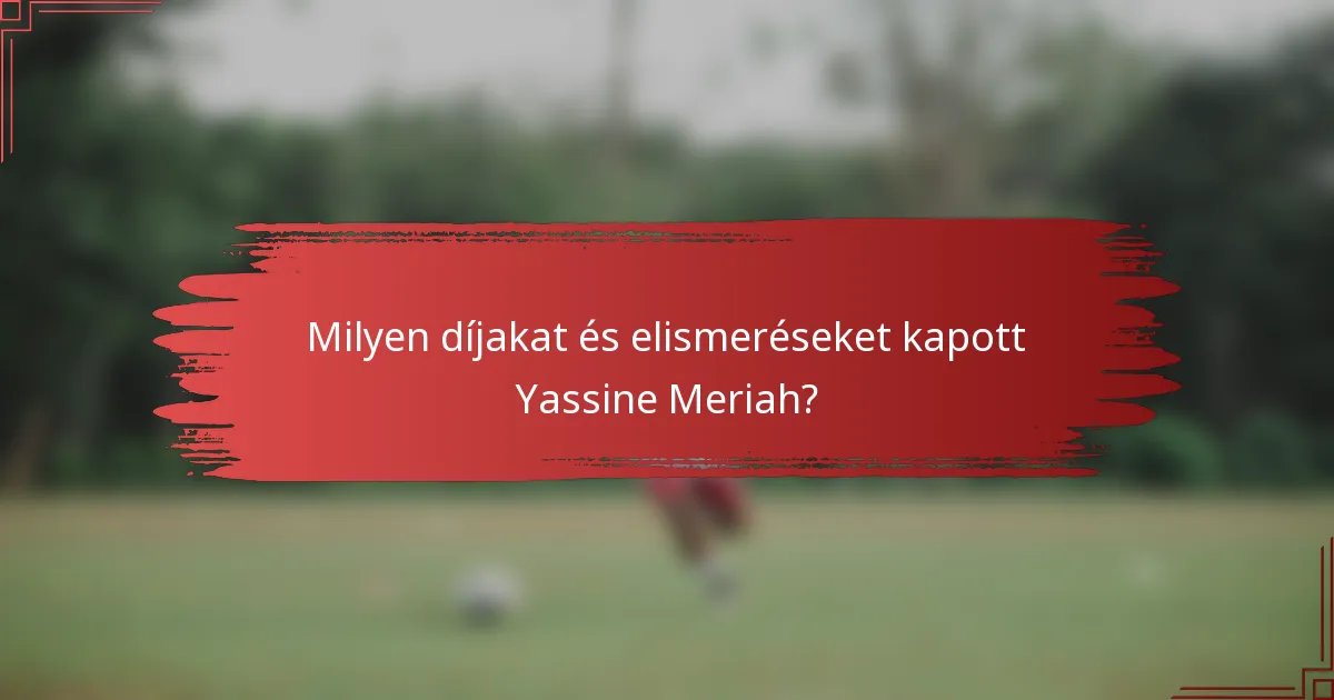 Milyen díjakat és elismeréseket kapott Yassine Meriah?